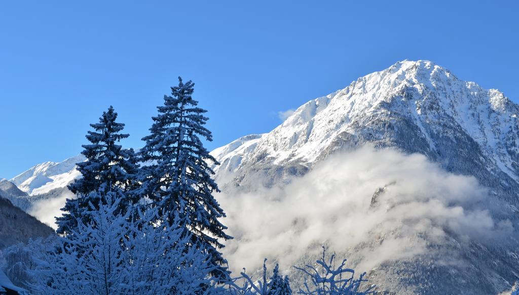 Auberge La Douce Montagne Allemont Exterior foto
